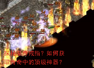 ̽�������ָ����λ�ȡ�����еĶ���������