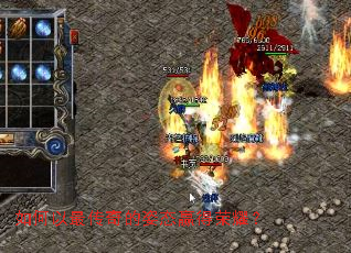 �����������̬Ӯ����ҫ��