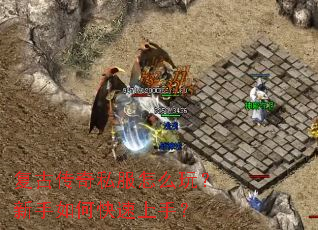���Ŵ���˽����ô�棿������ο������֣�