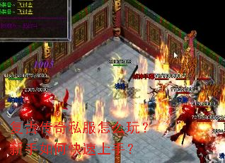 ���Ŵ���˽����ô�棿������ο������֣�