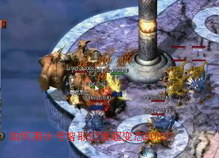 �����С����ȡ�þ�����̬BOSS��