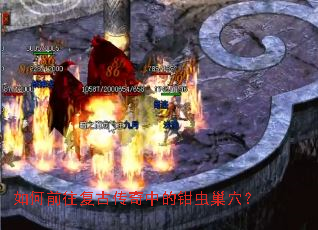 ���ǰ�����Ŵ����е�ǯ�泲Ѩ��