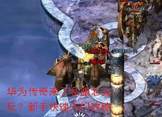 ��Ϊ��������˽����ô�棿���ֿ������Ź���