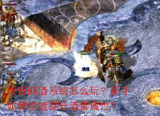 �������ϵͳ��ô�棿������ο��������������ԣ�