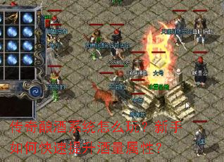 �������ϵͳ��ô�棿������ο��������������ԣ�