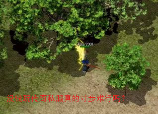 ûǮ�洫��˽����Ĵ粽������