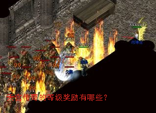 �칬����ĵȼ���������Щ��