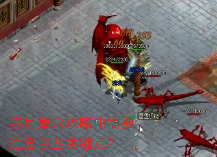 ���³�Ѩ��������Ҫע����Щ�ؼ��㣿