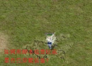 ����ýű��������Ƿ��Ѵ���װ����