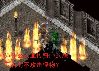 Ϊʲô��Ѫ�����е�ӥ����ʱ���������