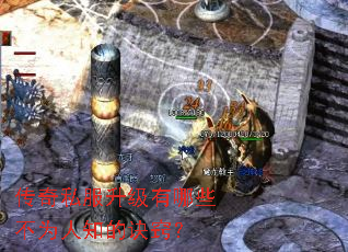 ����˽����������Щ��Ϊ��֪�ľ��ϣ�
