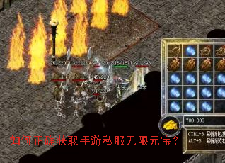 �����ȷ��ȡ����˽������Ԫ����