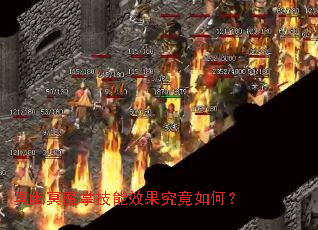 ����ڤħ�Ƽ���Ч��������Σ�
