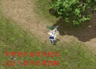 ������Ʒ�ϳ�ϵͳ��ô�棿���ֱؿ�����