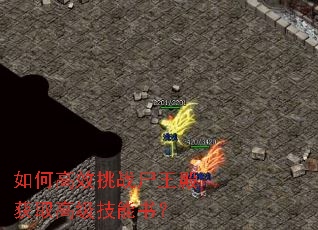 ��θ�Ч��սʬ�����ȡ�߼������飿