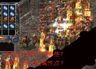 ���������������Щ�������ȷ�������Ե㣿
