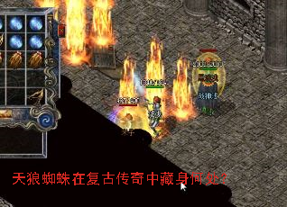 ����֩���ڸ��Ŵ����в����δ���