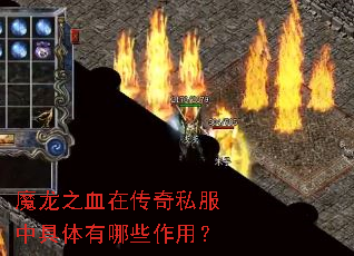 ħ��֮Ѫ�ڴ���˽���о�������Щ���ã�