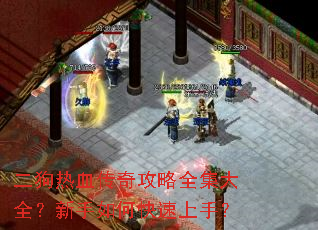 ������Ѫ���湥��ȫ����ȫ��������ο������֣�
