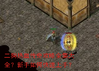 ������Ѫ���湥��ȫ����ȫ��������ο������֣�
