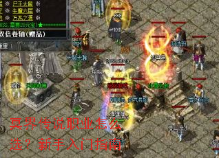 ڤ�紫˵ְҵ��ôѡ����������ָ��