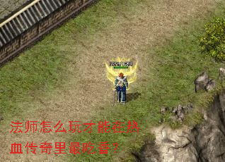 ��ʦ��ô���������Ѫ����������㣿