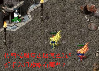 ����˽�����Ű���ô�棿�������Ź�������Щ��