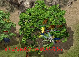 ��λ�ô�����Ϸ�еĶ������᣿