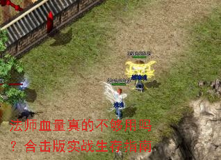 法师血量真的不够用吗?合击版实战生存指南 法师血量真的不够用吗?合击版实战生存指南