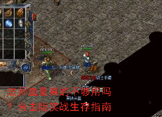 法师血量真的不够用吗?合击版实战生存指南 法师血量真的不够用吗?合击版实战生存指南