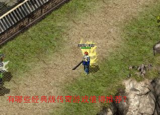 ����Щ����洫����Ϸֵ���Ƽ���