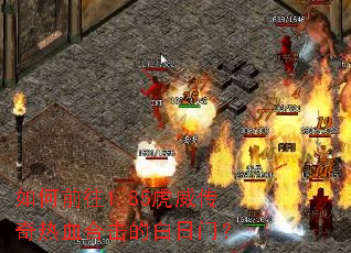 ���ǰ��1.85����������Ѫ�ϻ��İ����ţ�