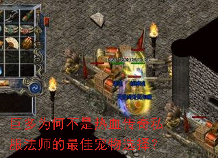 巨多为何不是热血传奇私服法师的最佳宠物选择? 巨多为何不是热血传奇私服法师的最佳宠物选择?