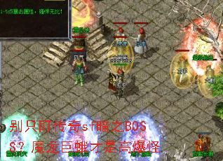 ��ֻ������sf��֮BOSS��ħ���޶���Ǹ߱���
