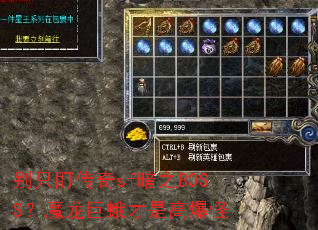 ��ֻ������sf��֮BOSS��ħ���޶���Ǹ߱���