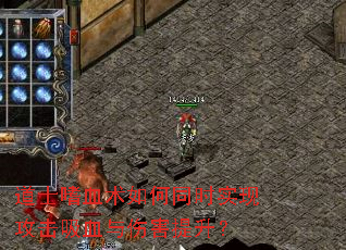��ʿ��Ѫ�����ͬʱʵ�ֹ�����Ѫ���˺�������