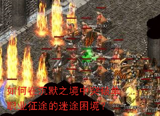 ����ڳ�Ĭ֮����ͻ�Ƶ�ְҵ��;����;������