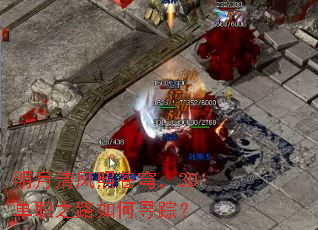 ��������ղ�񷣬3D��ְ֮·���Ѱ�٣�