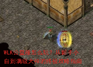 WLK�������ô�棿������С�׵�����������ռ�����ָ��