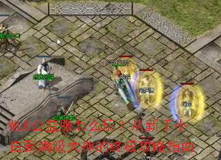 WLK�������ô�棿������С�׵�����������ռ�����ָ��