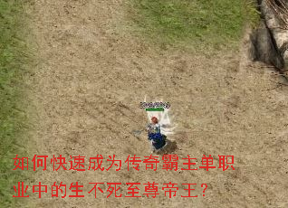 如何快速成为传奇霸主单职业中的生不死至尊帝王? 如何快速成为传奇霸主单职业中的生不死至尊帝王?