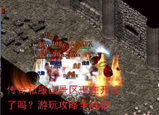 ����˽��ɽ�������ڿ����������湥��ȫ����