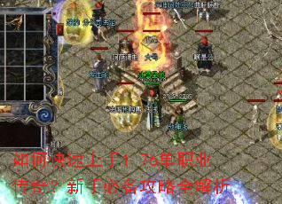 ��ο�������1.76��ְҵ���棿���ֱر�����ȫ����