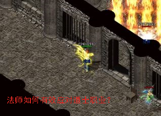 ��ʦ�����ЧӦ�Ե�ʿְҵ��