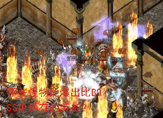 ��Щ�����ܱ�����BOSS��ϡ�е�װ����