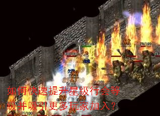 如何快速提升星级行会等级并吸引更多玩家加入? 如何快速提升星级行会等级并吸引更多玩家加入?