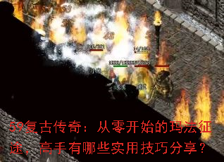 59���Ŵ��棺���㿪ʼ���귨��;����������Щʵ�ü��ɷ�����
