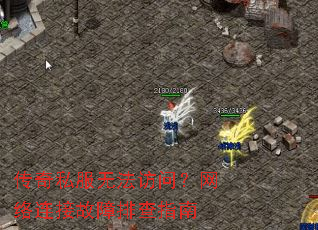 ����˽���޷����ʣ��������ӹ����Ų�ָ��