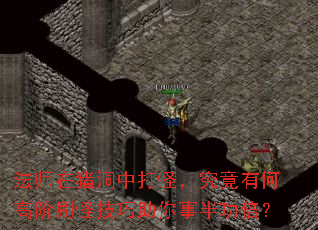 法师在猪洞中打怪,究竟有何高阶刷怪技巧助你事半功倍? 法师在猪洞中打怪,究竟有何高阶刷怪技巧助你事半功倍?