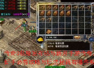 ����3˽������վ���¿����δ��棬���ֱؿ��������淨�ؼ�����Щ�أ�
